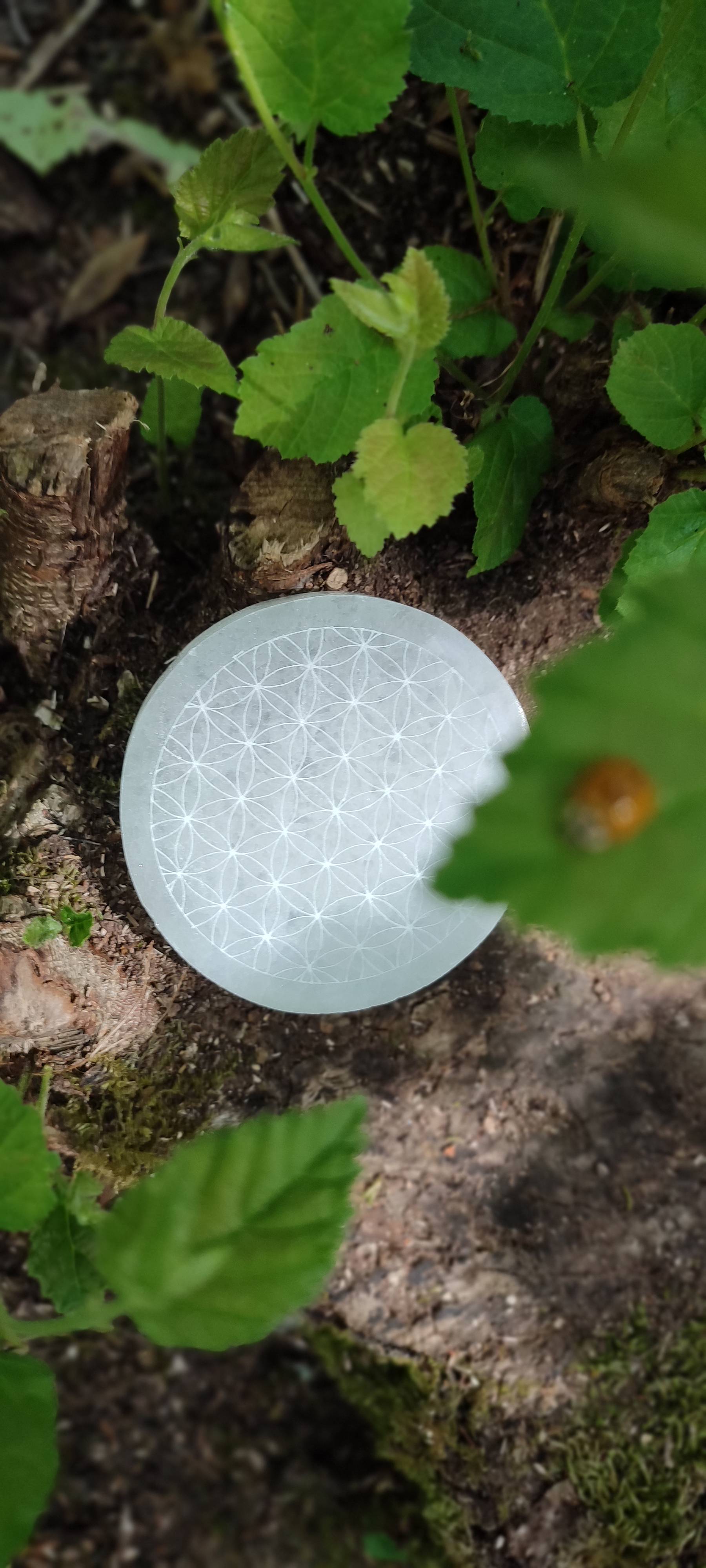 Disque de sélénite fleurs de vie