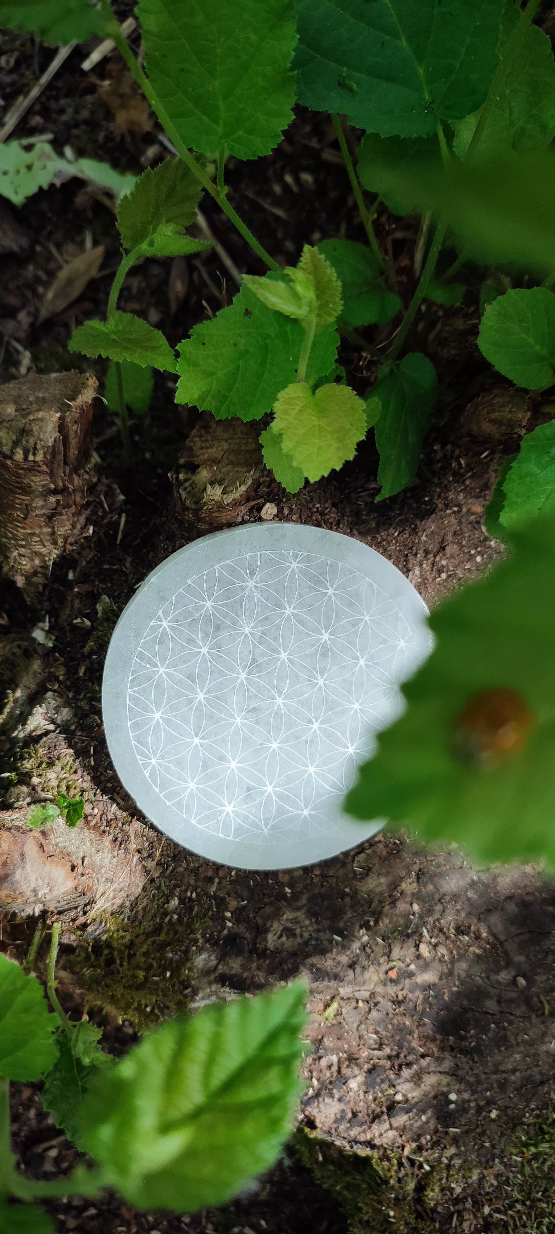 Disque de sélénite fleurs de vie