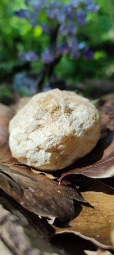 Mini géode en Quartz Blanc AAA