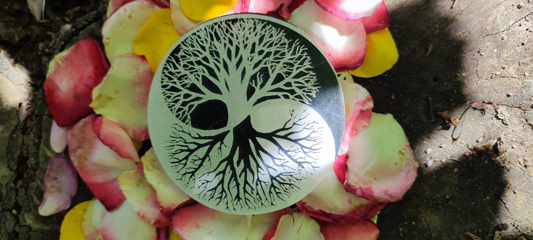 Disque de sélenite Arbre de vie symbole Ying-Yang