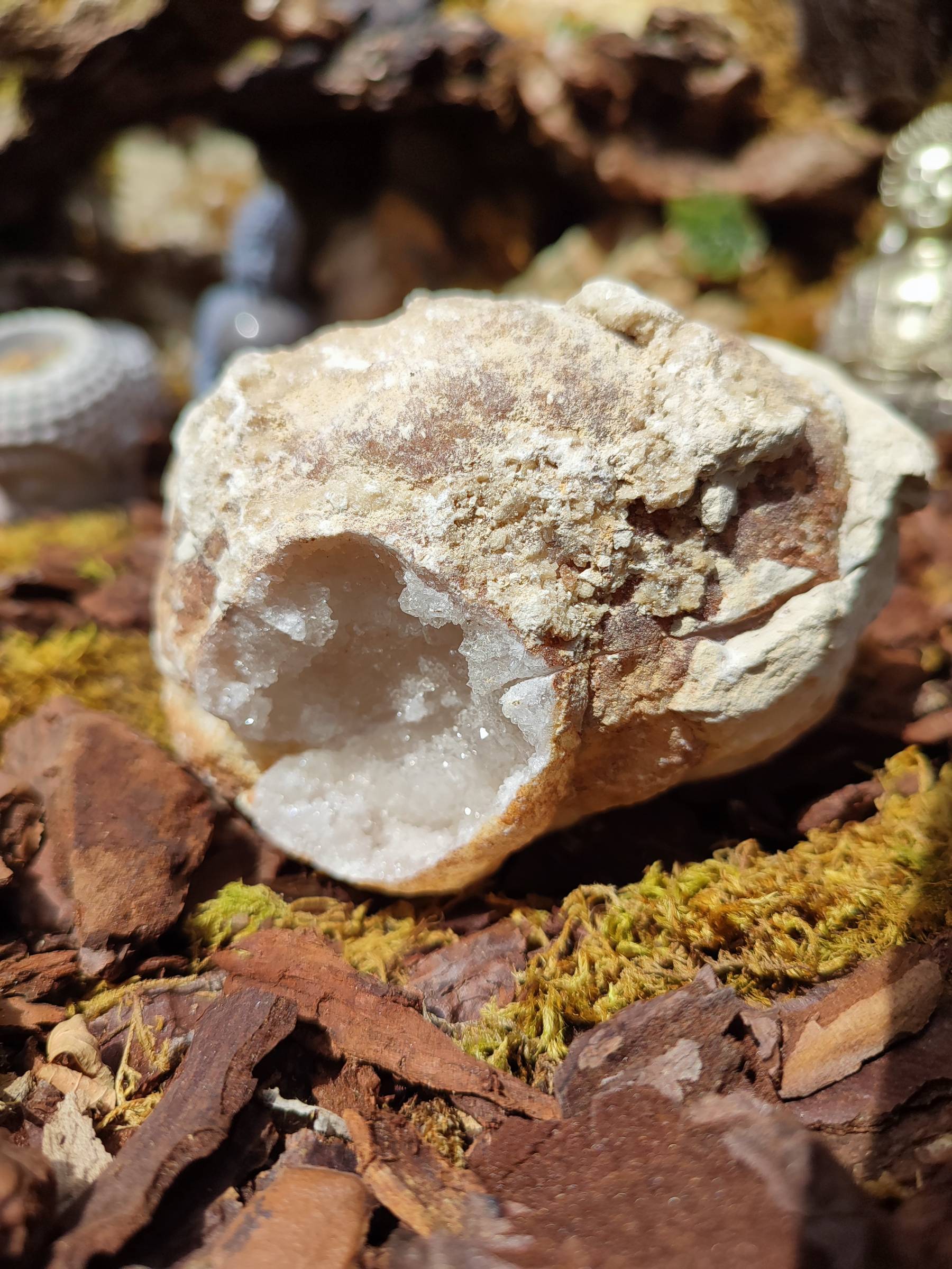 Géode entière Cristal de Roche