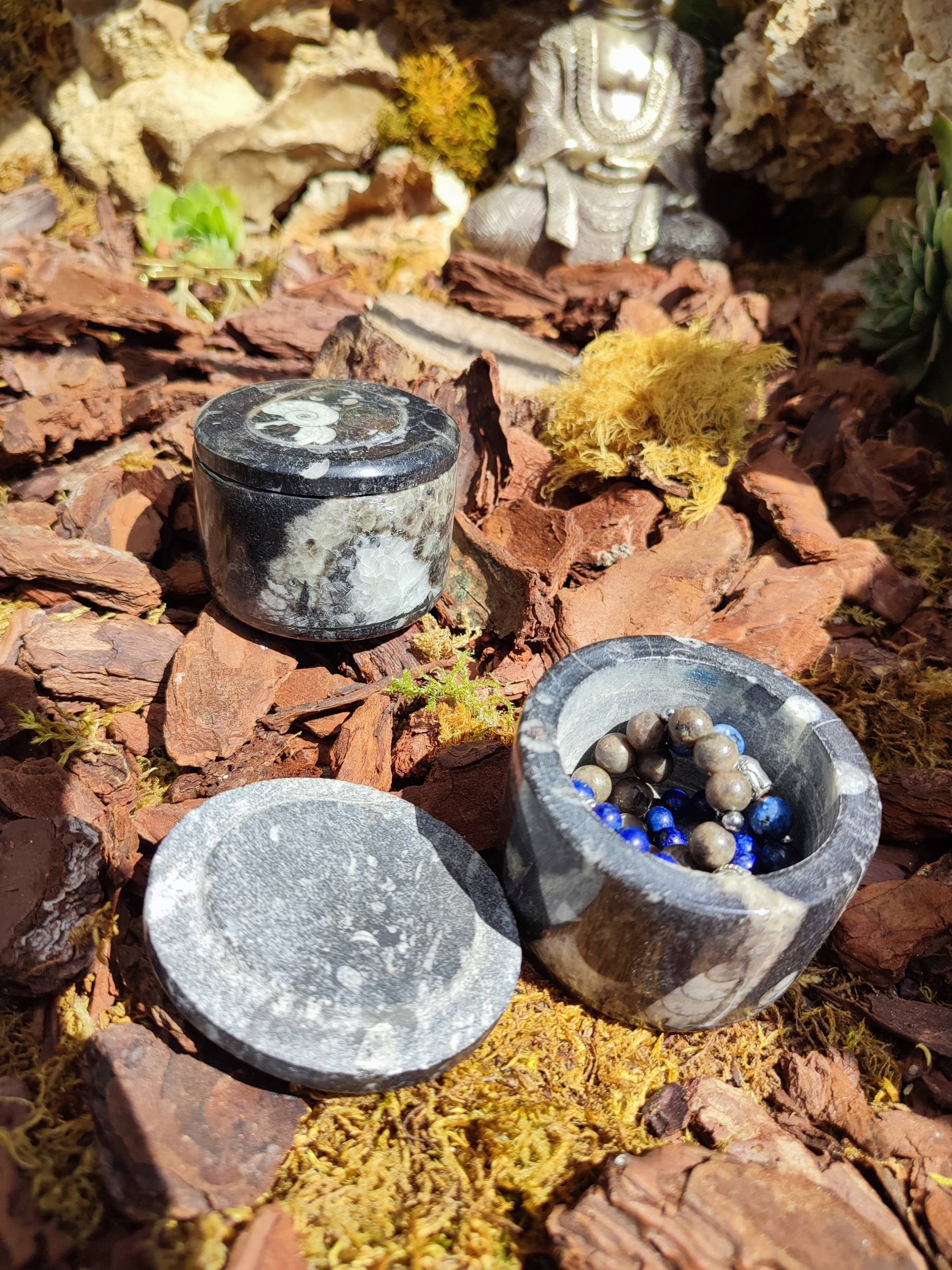 Boite à bijoux Orthocéras